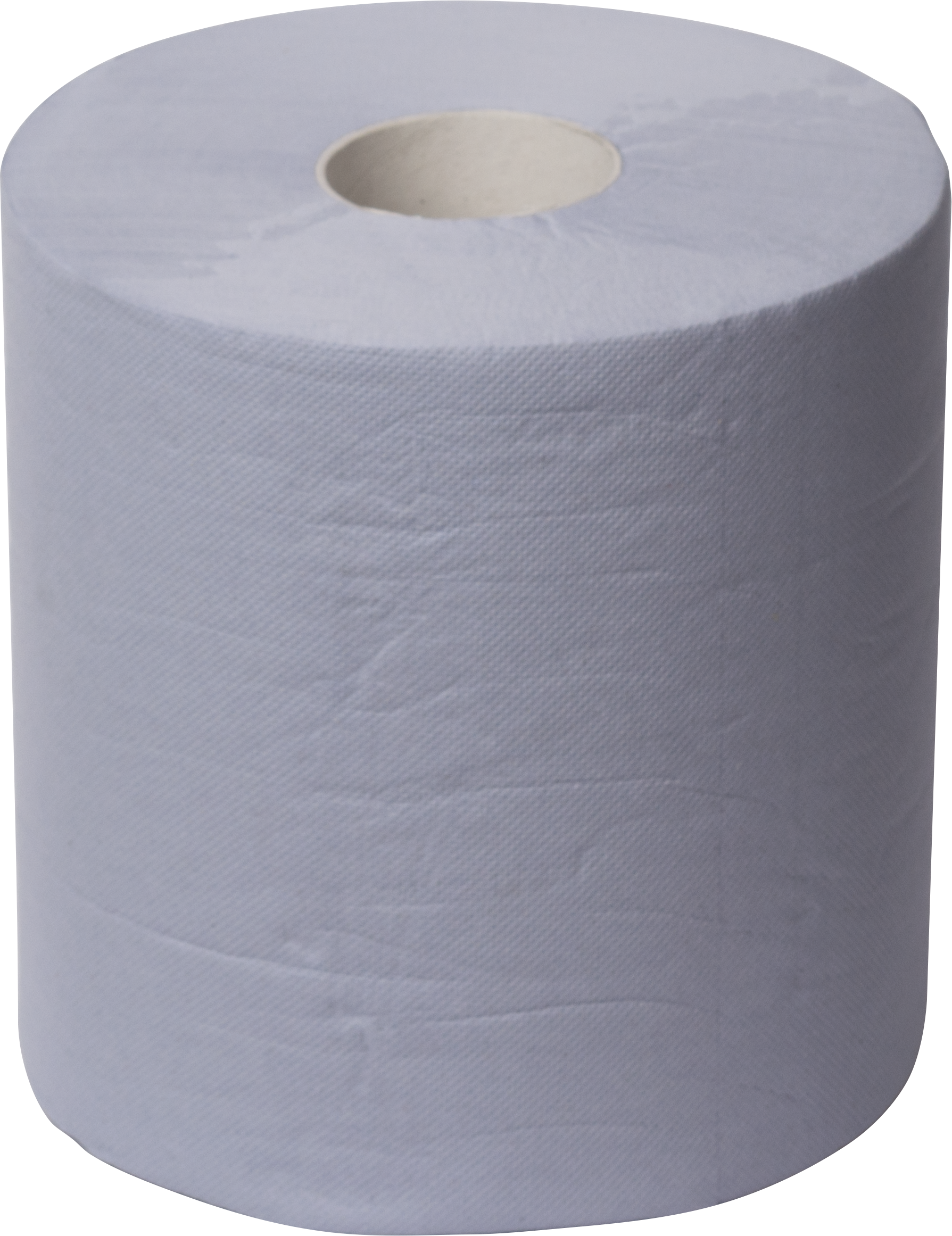 Handtuchrollen blau 2-lagig 450 Blatt 19,5x30,5cm perforiert