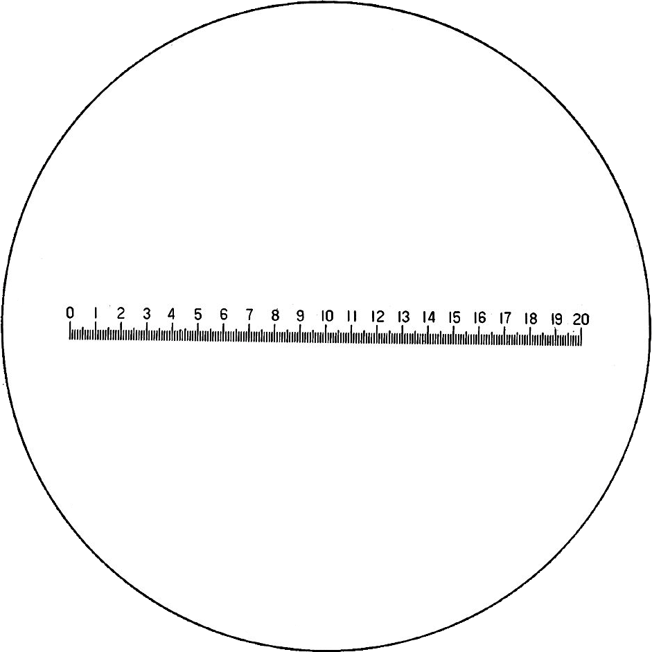 Messskala 0,20mm Abl. 0,1mm