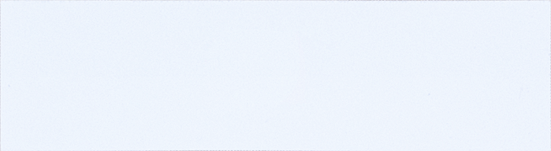 Etikett 88x25mm pro Bogen 20 Etiketten