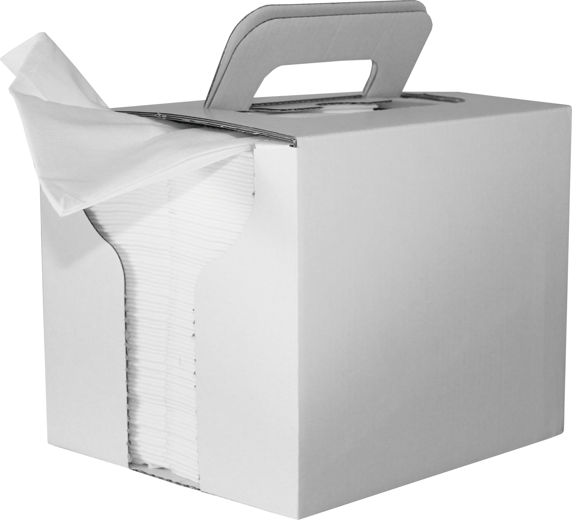 Putztuch Allround weiß 1-lagig 80 Tücher 30x38cm z-gefaltet in Box