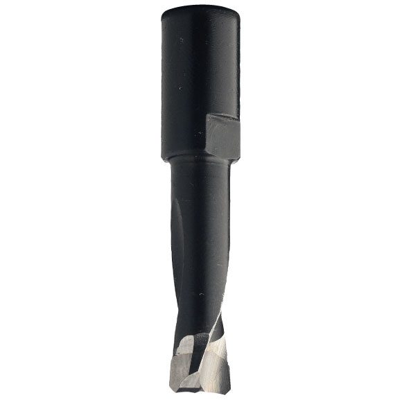 Fräser Dübelfräse Domino Schaftgewinde M6 GL49mm D10x28mm