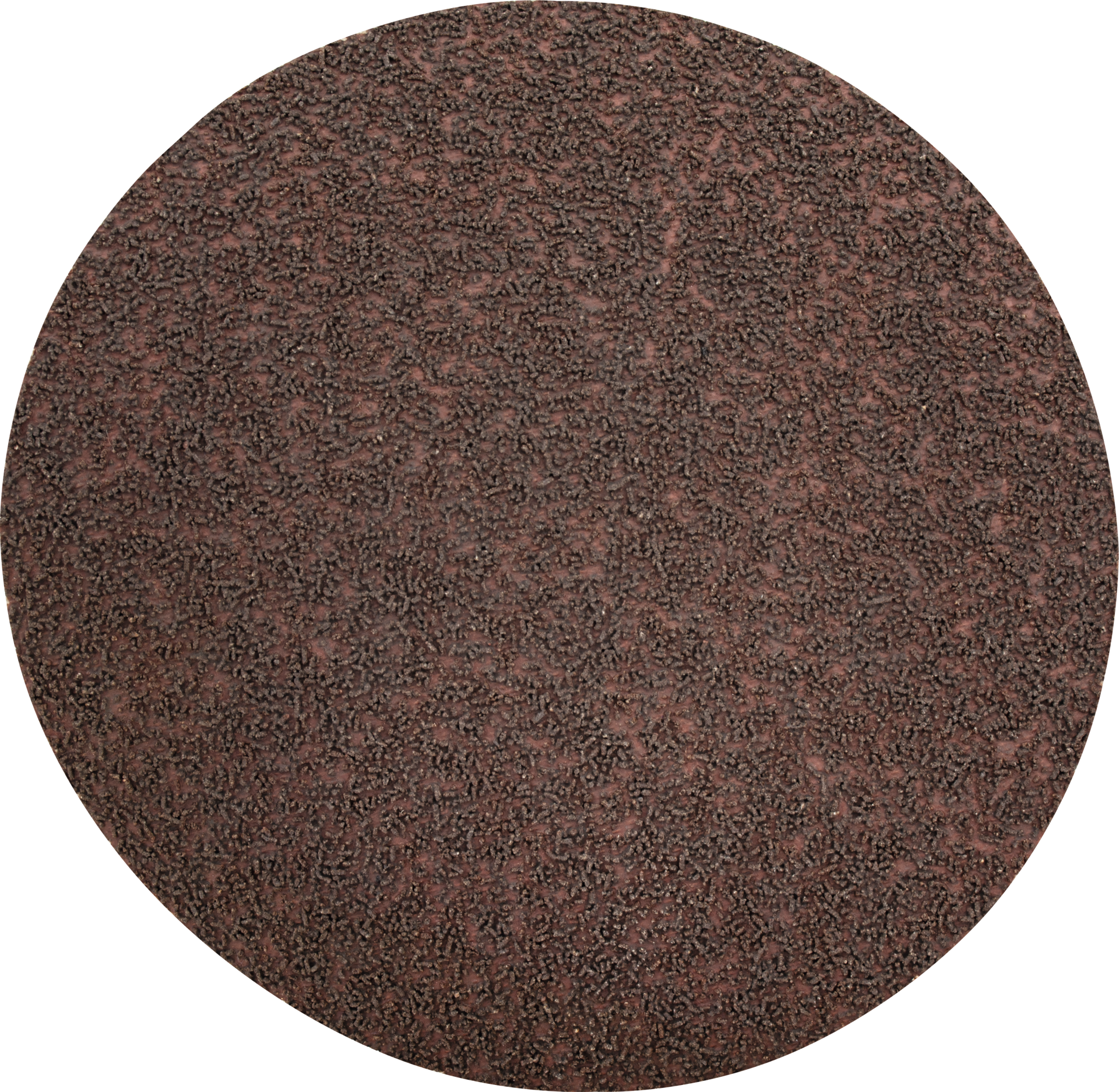 Klettschleifscheibe Kompaktkorn KK772K D125mm K180